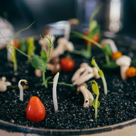 The Unforgettable - Tiliana By Homoky & 4*